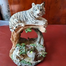 White tiger cub for sale  GRAVESEND