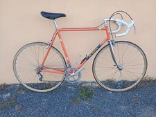1977 vintage rosa usato  Roma
