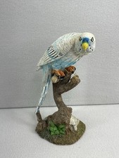 Vintage budgerigar parakeet for sale  Whitehouse