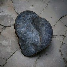 Devils toenail fossil for sale  SALTBURN-BY-THE-SEA