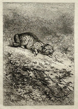 Chat sauvage gravure d'occasion Chat sauvage gravure d'occasion  Pluvigner