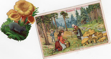 126 489 sammelbild gebraucht kaufen  Prösen