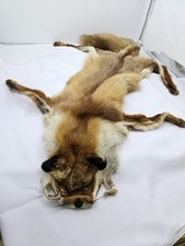 Red fox pelt for sale  Las Vegas