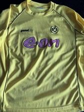 Bvb trikot ewerthon gebraucht kaufen  Denzlingen