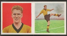 Chix football portrait for sale  COLNE