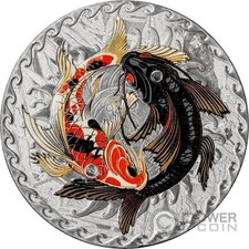 Koi fish meteorite usato  Ciampino