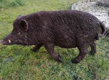 Dekofigur gartenfigur wildschw gebraucht kaufen  Preetz