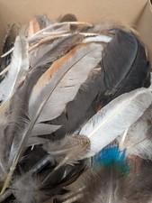 Federn zum basteln gebraucht kaufen  Braunfels