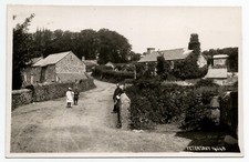 Peter tavy colla for sale  SALTASH