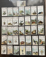 Original 1878 dondorf for sale  Baton Rouge