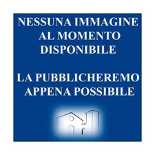 Bellini angelo niels usato  Italia