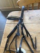 Beautiful albion grackle for sale  GLASTONBURY
