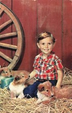 Garcon bebes chien d'occasion Garcon bebes chien d'occasion  Vasles