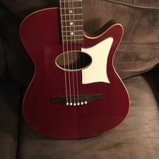 Rare peavey ecoustic for sale  Cascilla