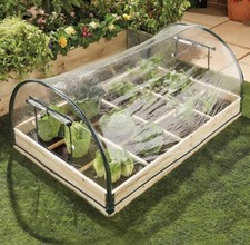 Coopers mini grow for sale  HARTLEPOOL