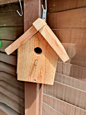 Bird box bird for sale  CANVEY ISLAND