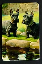 (2U) Cartas de baralho modernas de dois Scottish Terriers comprar usado  Enviando para Brazil