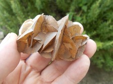 Minerali calcite dalnegorsk usato  Buggiano