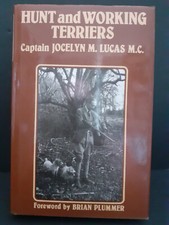 Hunt working terriers for sale  ASHFORD