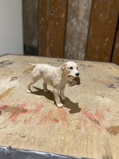 Labrador retriever dog for sale  OXFORD