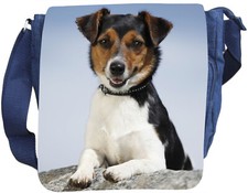 Jack parson russell gebraucht kaufen  Barby