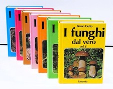 Bruno cetto funghi usato  Firenze
