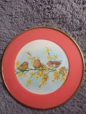 Decorative robin plate for sale  WEYMOUTH