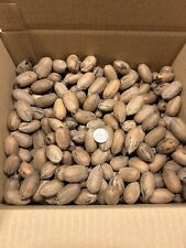 Lbs. 2024 2025 for sale  Pocahontas