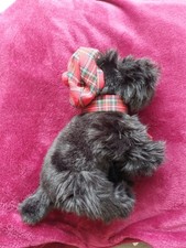 Faithful friends black for sale  LLANYBYDDER