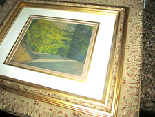 Irion shields landscape for sale  Rocklin
