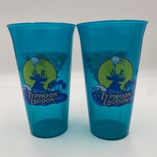 Disney water parks for sale  Eustis