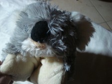 Koala kissen klettverschluß gebraucht kaufen  Friedrichsdorf