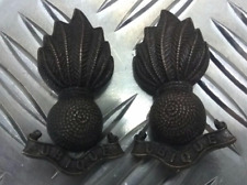 Collar dogs subdued for sale Collar dogs subdued for sale  LONDON