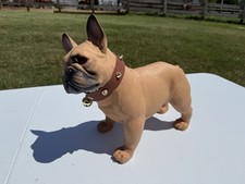 French bulldog frenchie for sale  Pulaski
