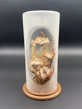 Vintage terrarium dome for sale  Bethany