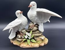 White doves akita for sale  BRIDGEND
