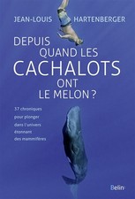 Cachalots melon jean d'occasion  France