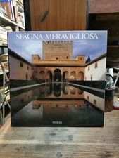 Spagna meravigliosa palazzi usato  Bologna