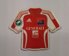 Trikot magnet spvgg gebraucht kaufen  Würselen