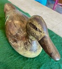 Evans hen mallard for sale  Madison Lake