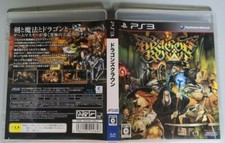 Dragon crown ps3 usato  San Cassiano