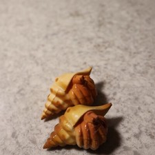 Pcs hermit crab for sale  Ontonagon