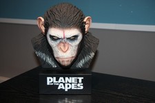 Planet affen caesars gebraucht kaufen  Hennef