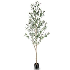 Faux olive tree for sale  San Lorenzo