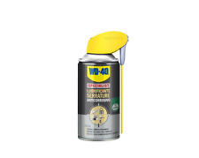 Specialist spray lubrificante usato  Casapesenna