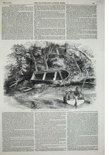 Antique old print for sale  UK