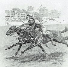 1924 polo season for sale  WORCESTER