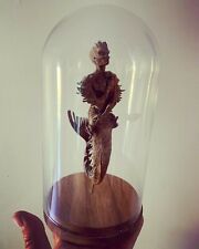 Cabinet curiosités oddities d'occasion  Aiglun
