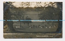 C018502 kimberley. deer. for sale  WARLINGHAM