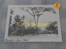 Dhy vintage photograph for sale  Metamora